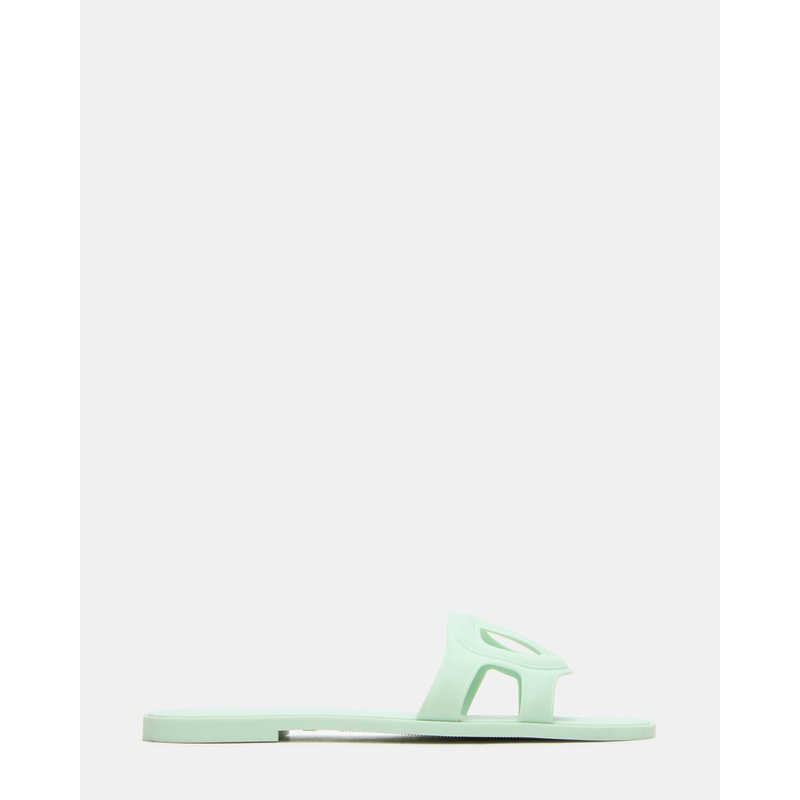 JELLIE PISTACHIO
