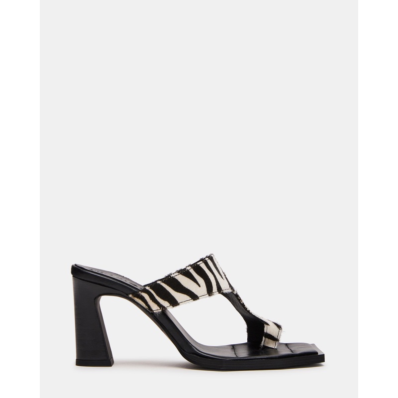 ALAMEDA ZEBRA