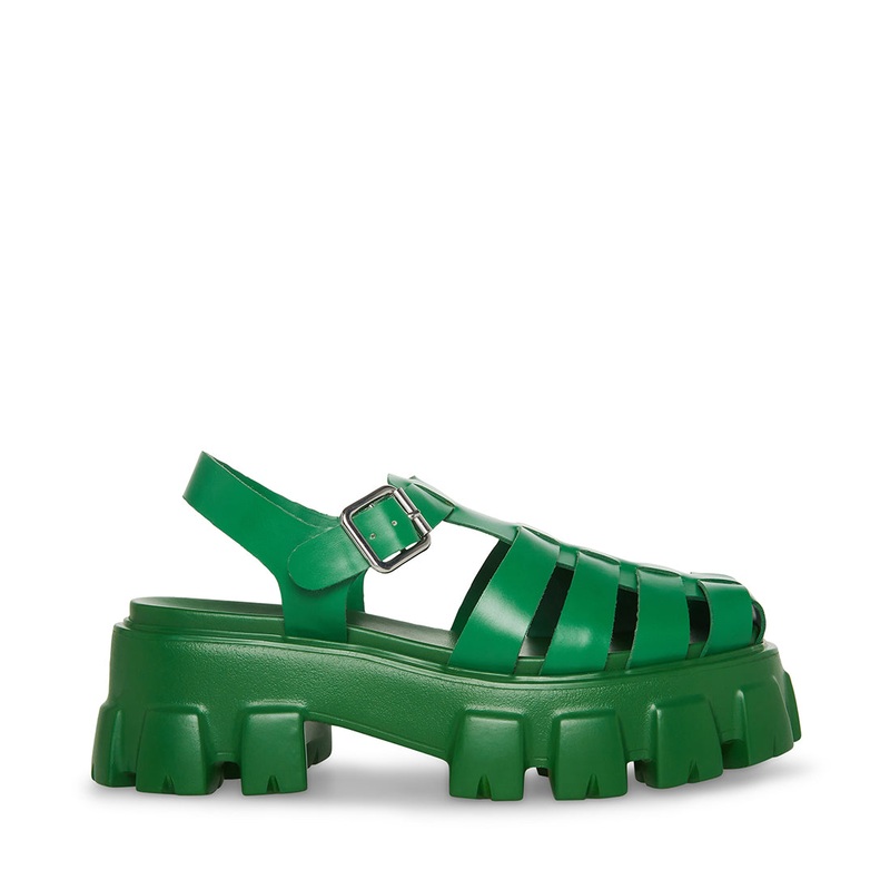 ECHO GREEN – SM REBOOTED