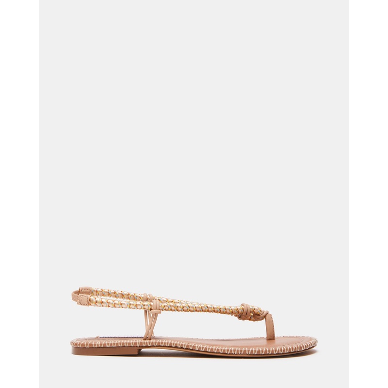ASHANI BLUSH MULTI