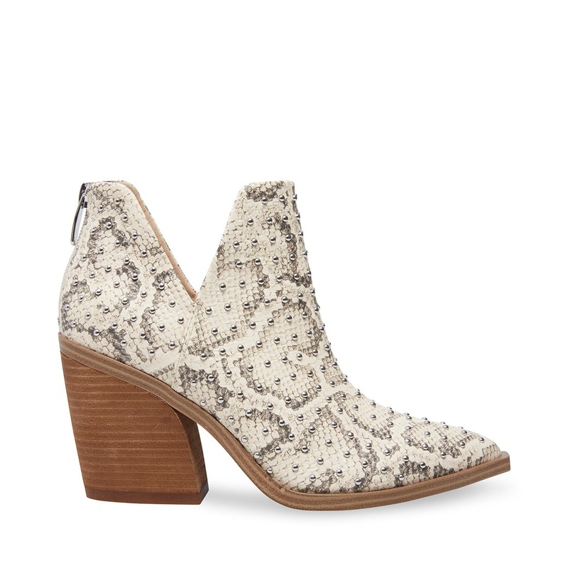 CAMRYN-S BONE MULTI – SM REBOOTED
