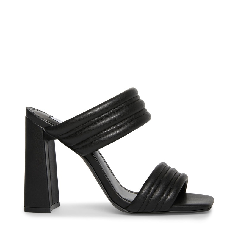 TAHANI BLACK – SM REBOOTED
