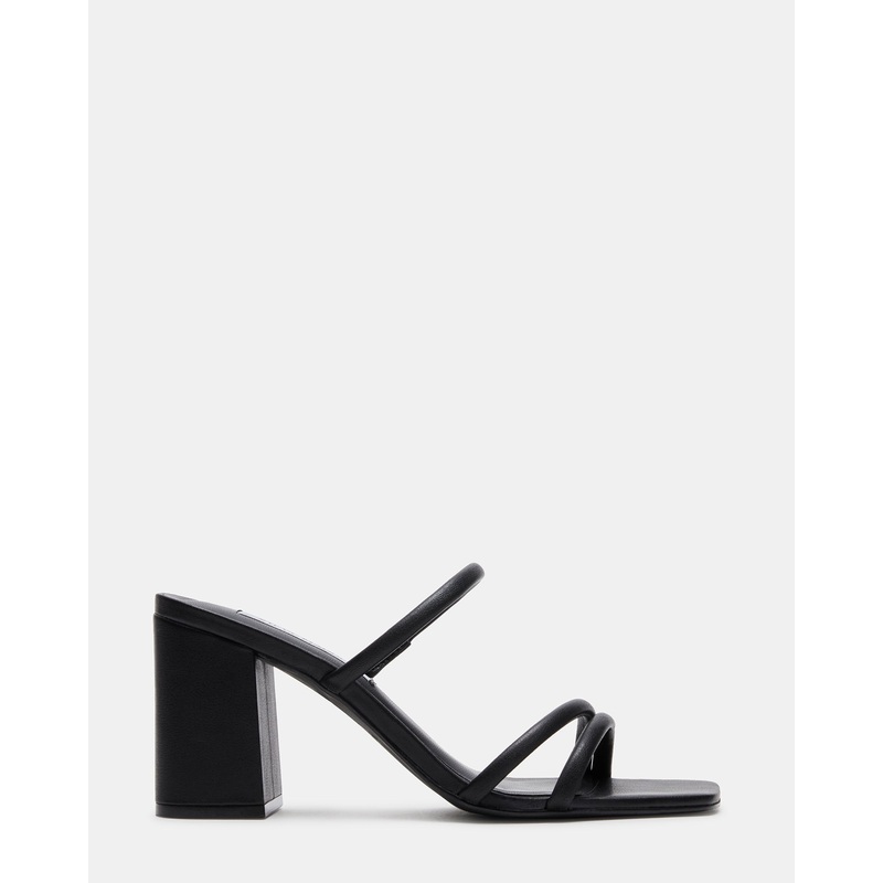 AVANI BLACK – SM REBOOTED