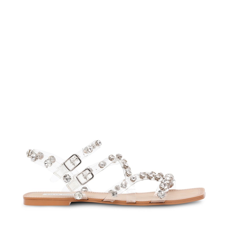 JOLI CLEAR – SM REBOOTED