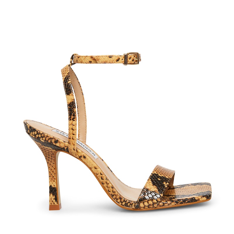 KARRI TAN SNAKE – SM REBOOTED