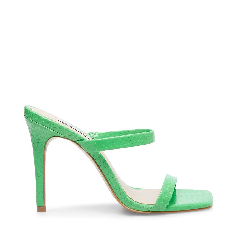 MICHELE GREEN SNAKE – SM REBOOTED