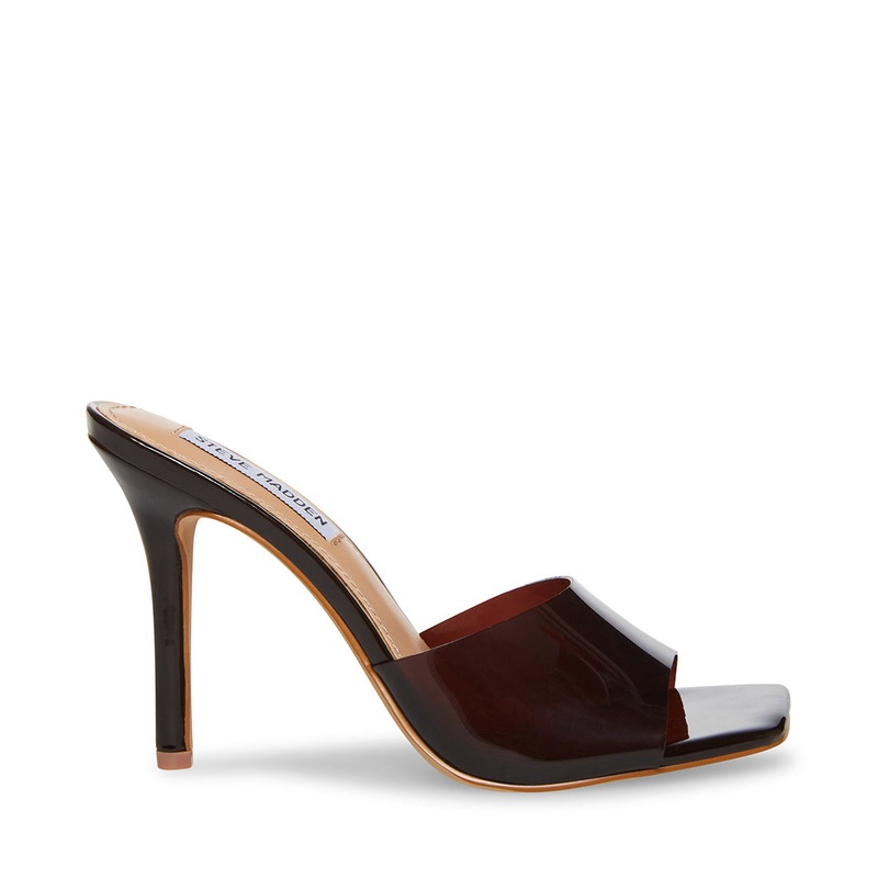 SIGNAL BROWN – SM REBOOTED