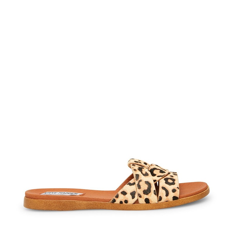 VIVIEN LEOPARD – SM REBOOTED