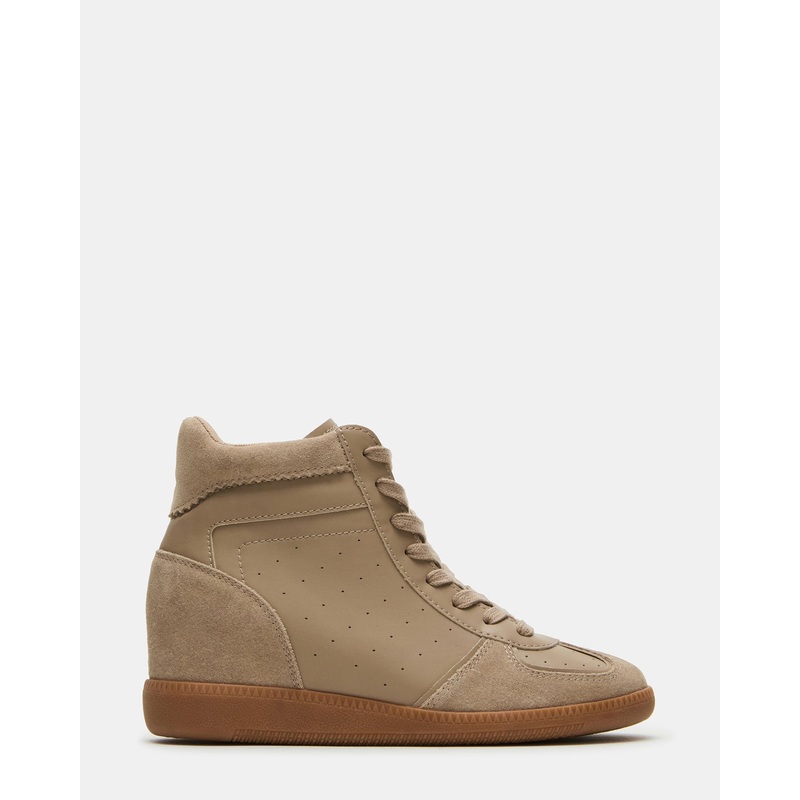 MORRIS TAUPE