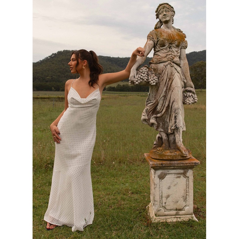 Alianna Cowl Neck Mesh Maxi Dress – White Polka Dot