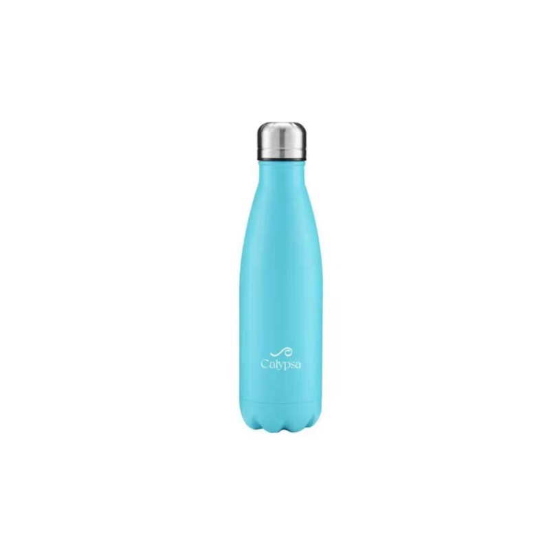 Stainless Steel Water Bottle – 17oz