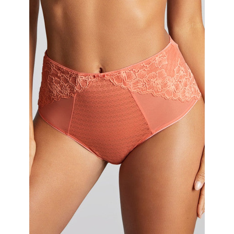 Envy Deep Brief In Terracota – Panache