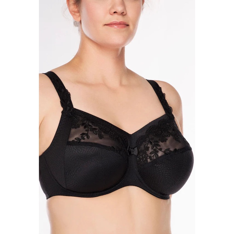 Ella Sheer Panel Underwire Bra In Black – Ulla